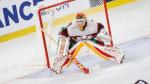 Photo hockey match France - Lettonie le 11/11/2017