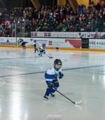 Photo hockey match Gap  - Briançon  le 30/12/2015