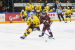 Photo hockey match Genève - Bern le 26/02/2022