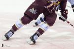 Photo hockey match Genève - Fribourg le 22/11/2019