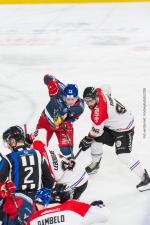 Photo hockey match Grenoble  - Bordeaux le 18/04/2026
