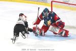 Photo hockey match Grenoble  - Bordeaux le 18/04/2026