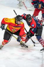 Photo hockey match Grenoble / Féminin - Montpellier le 21/01/2023