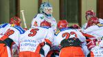 Photo hockey match Lyon - Amnéville le 01/12/2012