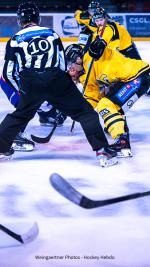 Photo hockey match Lyon - Chambéry le 27/09/2025