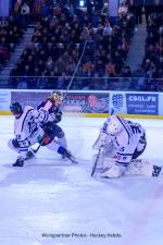 Photo hockey match Lyon - Courchevel-Méribel-Pralognan le 17/01/2026