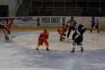 Photo hockey match Marseille - Orléans le 20/02/2010