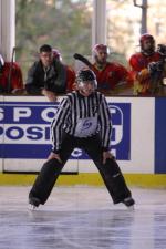 Photo hockey match Metz - Orléans le 09/04/2010
