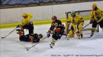 Photo hockey match Meudon - Viry-Châtillon le 27/02/2010