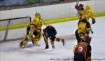 Photo hockey match Meudon - Viry-Châtillon le 27/02/2010