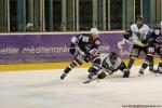 Photo hockey match Montpellier  - Chambéry le 19/11/2016