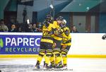 Photo hockey match Nantes - Chambéry le 05/03/2022