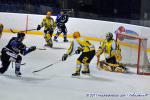 Photo hockey match Nantes - Viry-Châtillon le 26/02/2011