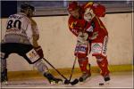 Photo hockey match Orléans - Chambéry le 09/04/2011