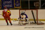 Photo hockey match Orléans - Champigny-sur-Marne le 05/02/2011