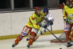 Photo hockey match Orléans - Clermont-Ferrand le 22/01/2011