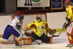 Photo hockey match Orléans - Clermont-Ferrand le 22/01/2011