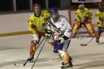 Photo hockey match Orléans - Clermont-Ferrand le 22/01/2011
