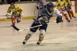 Photo hockey match Orléans - Clermont-Ferrand le 22/01/2011
