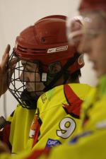 Photo hockey match Orléans - Clermont-Ferrand le 22/01/2011