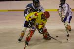 Photo hockey match Orléans - Clermont-Ferrand le 22/01/2011
