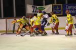 Photo hockey match Orléans - Clermont-Ferrand le 22/01/2011