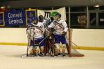 Photo hockey match Orléans - Clermont-Ferrand le 22/01/2011