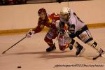 Photo hockey match Orléans - Dunkerque le 20/11/2010
