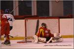 Photo hockey match Orléans - Paris (FV) le 05/03/2011
