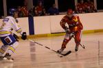 Photo hockey match Orléans - Wasquehal Lille le 28/01/2012