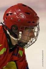 Photo hockey match Orléans - Wasquehal Lille le 28/01/2012