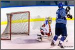 Photo hockey match Paris (FV) - Amnéville le 10/12/2016