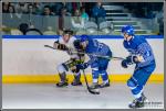 Photo hockey match Paris (FV) - Chambéry le 18/02/2017