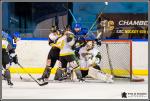 Photo hockey match Paris (FV) - Chambéry le 18/02/2017