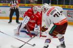 Photo hockey match Rapperswil-Jona - Genève le 29/11/2024