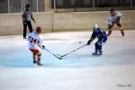 Photo hockey match Reims - Amnéville le 28/11/2009