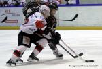 Photo hockey match Rouen - Briançon  le 28/01/2014