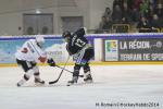 Photo hockey match Rouen - Briançon  le 28/01/2014