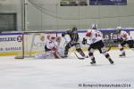 Photo hockey match Rouen - Briançon  le 28/01/2014