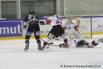 Photo hockey match Rouen - Briançon  le 28/01/2014