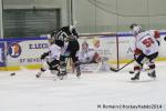 Photo hockey match Rouen - Briançon  le 28/01/2014