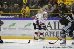 Photo hockey match Rouen - Briançon  le 28/01/2014