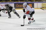 Photo hockey match Rouen - Briançon  le 28/01/2014