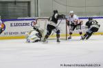 Photo hockey match Rouen - Briançon  le 28/01/2014