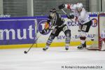 Photo hockey match Rouen - Briançon  le 28/01/2014