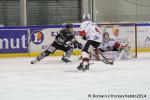 Photo hockey match Rouen - Briançon  le 28/01/2014
