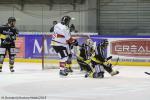 Photo hockey match Rouen - Briançon  le 06/01/2015