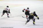 Photo hockey match Rouen - Briançon  le 10/01/2015