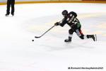 Photo hockey match Rouen - Briançon  le 20/03/2021