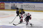 Photo hockey match Rouen - Briançon  le 23/11/2023